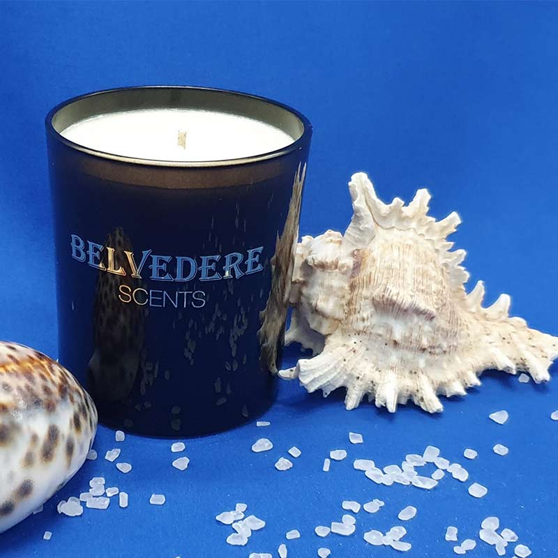 Sea Salt & Samphire Scented Candle